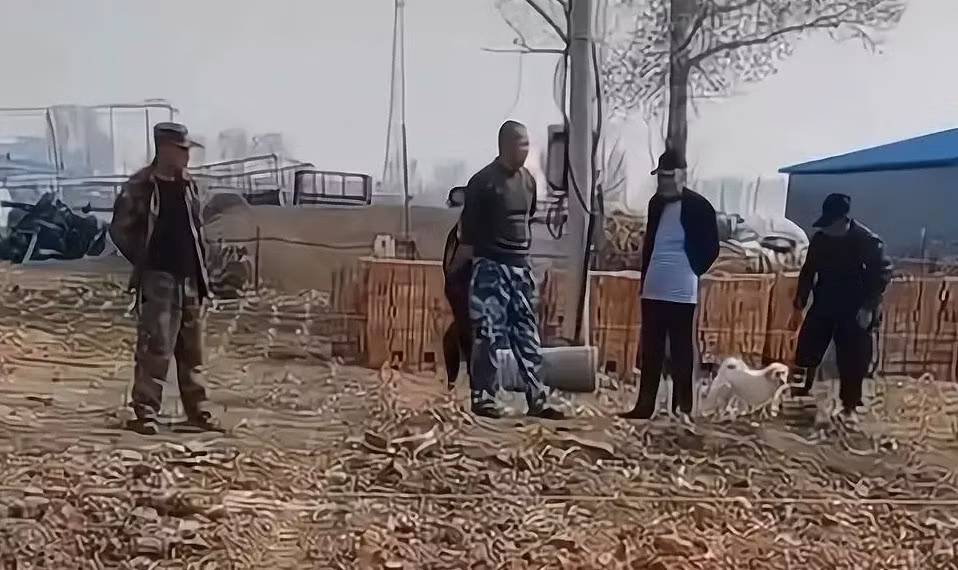 Nghe tin em ut ly hon, 3 anh trai xay nha moi chao don