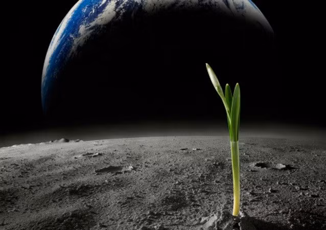 Kết quả này làm tăng hy vọng cho các sứ mệnh săn tìm sự sống ngoài hành tinh, bao gồm Europa Clipper của NASA và một con rắn robot đang được chế tạo cho Enceladus.