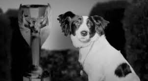 Một thời gian sau, chiếc cúp được tìm thấy tại khu vườn phía Nam London bởi một chú chó tên Pickles. Chú chó này sau đó được tặng huy chương và được cung cấp thức ăn miễn phí trọn đời.