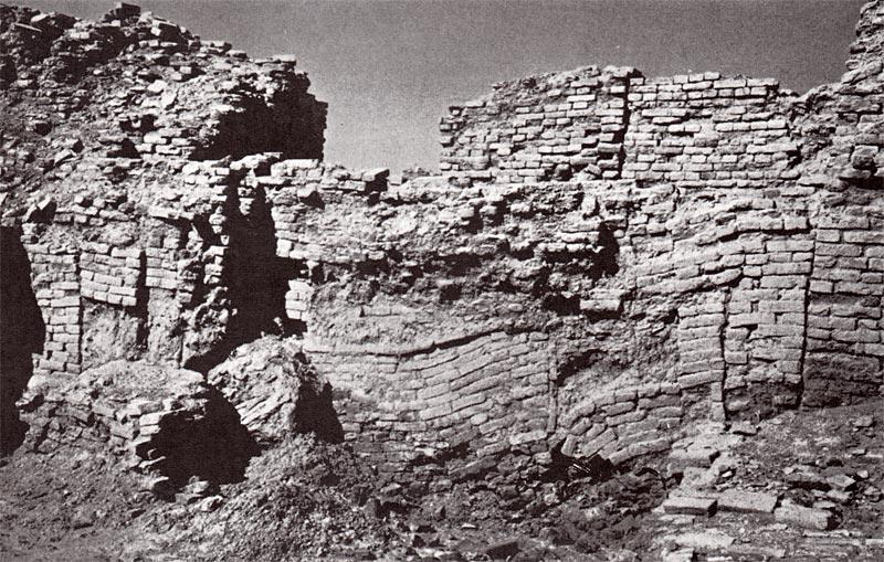 Động đất không chỉ gây ra thiệt hại về cơ sở hạ tầng mà còn làm thay đổi dòng chảy của sông, gây ra lũ lụt và làm cạn kiệt nguồn nước ngọt. Điều này đã dẫn đến sự suy giảm nghiêm trọng về môi trường sống, khiến người dân không thể tiếp tục duy trì cuộc sống ổn định.