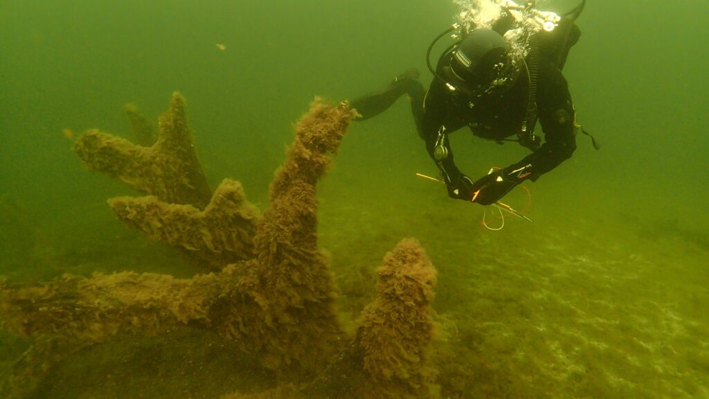 Rolf Warming và Johan Rönnby, hai nhà khảo cổ học đứng đầu nghiên cứu, đã sử dụng kỹ thuật quang trắc để tạo mô hình 3D chính xác của chiếc rương.