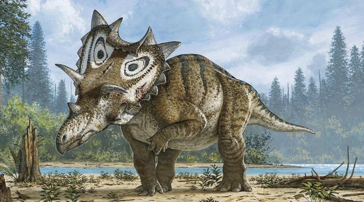 Thật thú vị, phát hiện của Lokiceratops rangiformis đã mở ra cửa sổ để hiểu rõ hơn về sự đa dạng của khủng long ceratópsido trong thời kỳ Phấn Trắng của Bắc Mỹ.