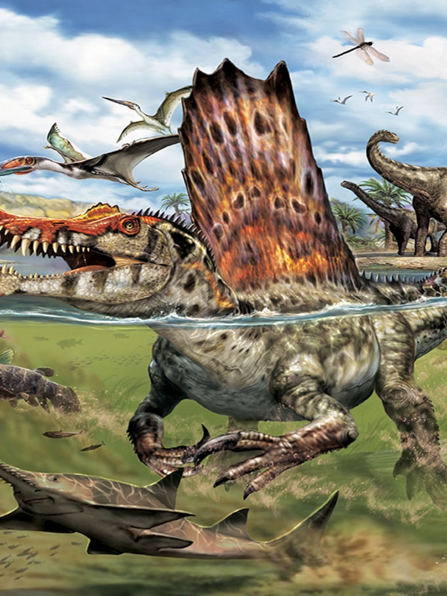 Trong khi việc hồi sinh khủng long là một giấc mơ đầy mê hoặc, các nhà khoa học và nhà bảo tồn tin rằng tài nguyên và công nghệ nên được ưu tiên để bảo vệ các loài động vật hiện đang đối mặt với nguy cơ tuyệt chủng. Sự đa dạng sinh học hiện tại của chúng ta đang gặp nguy hiểm, và việc bảo vệ các loài này không chỉ giúp duy trì hệ sinh thái mà còn giữ gìn sự cân bằng tự nhiên của Trái đất.