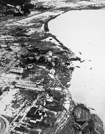 Trận động đất cũng giúp nhận thức rõ hơn về tác động của sóng thần và nguy cơ mang theo sinh vật chứa mầm bệnh vào đất liền, mặc dù không ai có thể lường trước để xây dựng biện pháp phòng trừ.