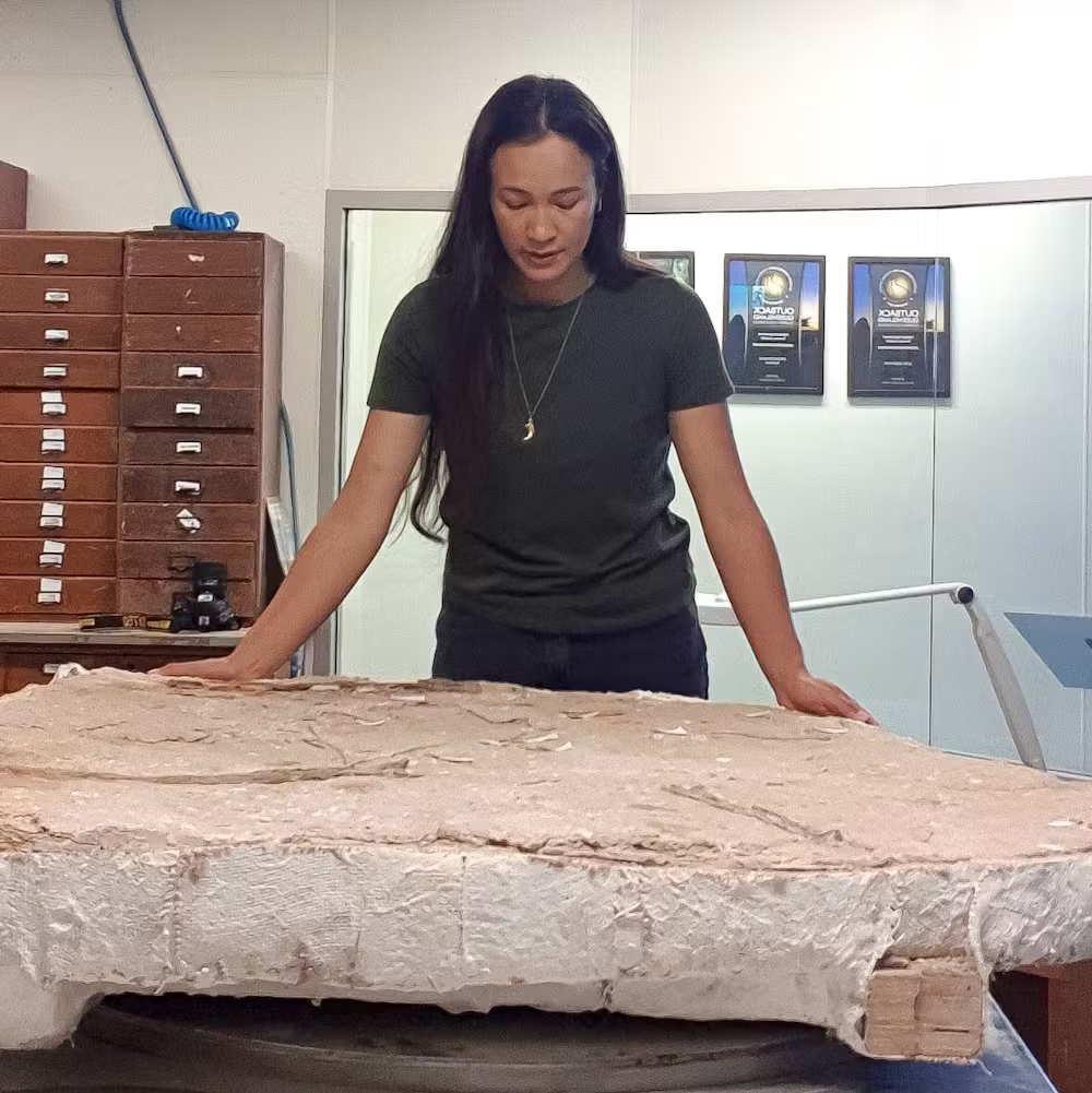 Ông Kevin Petersen bày tỏ sự phấn khởi khi phát hiện của mình đã giúp xác định một loài mới, đồng thời góp phần bổ sung kiến thức cho lĩnh vực nghiên cứu các loài tiền sử. Ông nhấn mạnh rằng khám phá này là một bước tiến lớn trong lĩnh vực khoa học, giáo dục và du lịch tại khu vực Queensland.