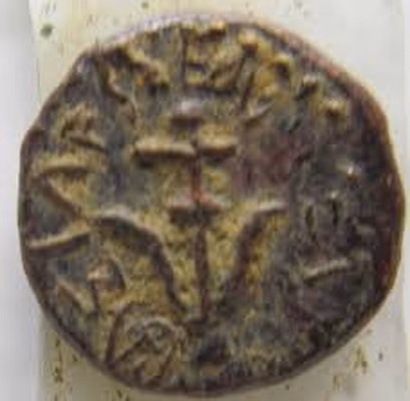 Tiến sĩ Robert Cole, Giám đốc Chi nhánh Tiền xu tại Cơ quan Cổ vật Israel, xác nhận rằng đồng xu mang hình mỏ neo của một con tàu và dòng chữ "Alexander Basileus" trong tiếng Hy Lạp, biểu thị "Vua Alexander".