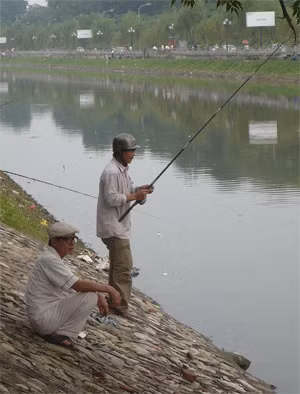 6. Năm 2008, sau trận lụt lịch sử, nước sông Tô Lịch trong vắt như xưa sau khi bị nước mưa làm loãng bớt bùn, dâng cao hàng mét, khiến sông trở nên sạch sẽ trong một thời gian ngắn.