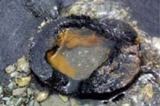 2. Toilet của người ngoài hành tinh: Các ống sắt gỉ hình dạng lạ lùng được tìm thấy ở một khu vực không có người sinh sống, được gọi là "toilet của người ngoài hành tinh". Các ống này có kích thước đều và có mục đích chế tạo rõ ràng, gây ra nhiều tranh cãi về nguồn gốc.