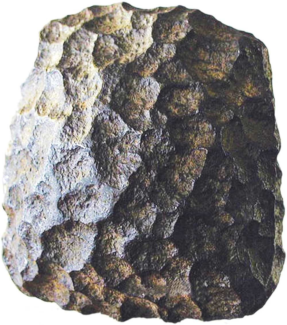 7. Đá Salzburg Cube: Đá Salzburg Cube, được phát hiện năm 1885, có ít nhất 60 triệu năm tuổi. Dù ban đầu được cho là một phần của thiên thạch, nghiên cứu sâu hơn cho thấy đây có thể là một vật thể nhân tạo. Tuy nhiên, nguồn gốc và mục đích của khối sắt này vẫn là một bí ẩn, khiến nhiều người nghi ngờ và tò mò.