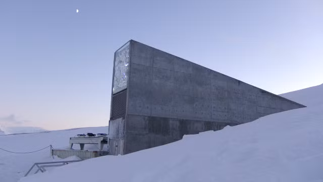 Hạt giống được lưu trữ ở nhiệt độ -18 độ C để không bị già đi, và được bảo vệ nghiêm ngặt khỏi thế giới bên ngoài. Trừ khi bạn là nhà nghiên cứu có giấy phép đặc biệt, bạn không được phép vào nơi này.