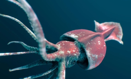 5. Mực ống khổng lồ: Sống dưới tầng nước sâu ở Thái Bình Dương, mực ống khổng lồ là một trong những sinh vật bí ẩn nhất đại dương. Với chiều dài có thể lên tới 18 mét và trọng lượng 900 kg, chúng thường xuất hiện trong những câu chuyện đáng sợ của ngư dân về việc xúc tu khổng lồ xé toạc thuyền. Dù hiếm khi được nhìn thấy còn sống, nhưng mỗi lần xuất hiện, chúng luôn gây chấn động giới khoa học và ngư dân.