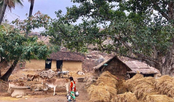 Dù sống trong ngôi làng mang nhiều bí ẩn, cuộc sống của người dân Haragonan vẫn rất yên bình. Họ không cảm thấy sự giống nhau này ảnh hưởng đến cuộc sống hàng ngày.