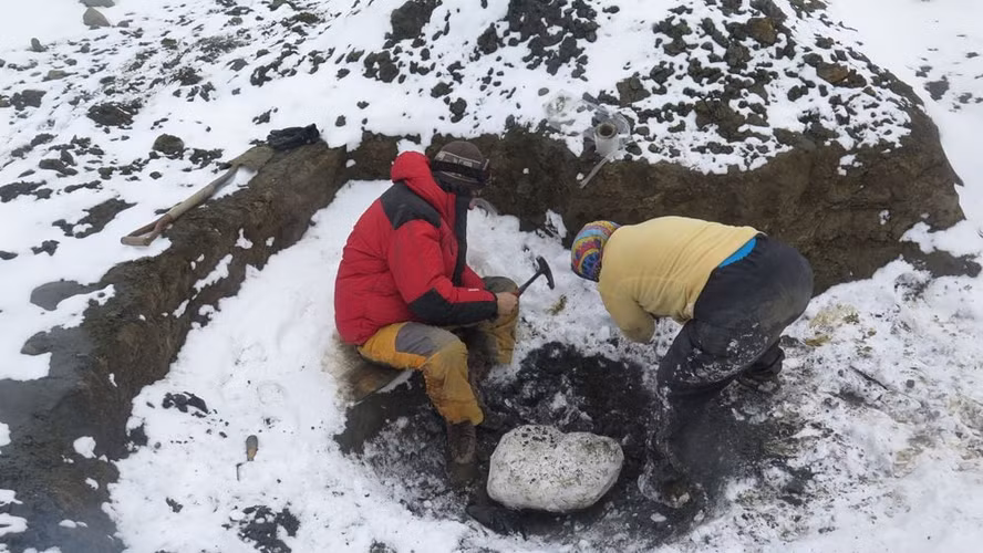 Các nhà khoa học đã phải đối mặt với nhiều khó khăn trong việc khai quật và phân tích, nhưng cuối cùng họ đã tiết lộ bí mật về loài này.