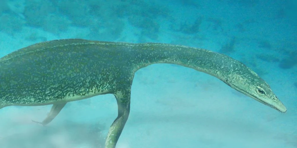 Dù bằng cách nào, dòng họ thủy quái này đã lan rộng khắp thế giới trước khi các loài thủy quái khác như thương long, ngư long, và thằn lằn cổ rắn chiếm lĩnh đại dương trong thời đại khủng long. Phát hiện này cũng cho thấy khu vực New Zealand có tiềm năng lớn cho những khám phá về bò sát kỷ Tam Điệp, một thời kỳ quan trọng trong tiến trình tiến hóa của động vật trên Trái đất.