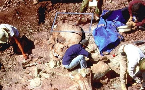 Trong suốt nhiều thập kỷ, các nhà khoa học và khảo cổ học đã luôn tìm kiếm những manh mối về sự tồn tại của người ngoài hành tinh. Một trong những bằng chứng gây tranh cãi và thu hút sự chú ý nhất là những khám phá tại hệ thống hang động ở Bayan Kara Ula gần Tây Tạng.