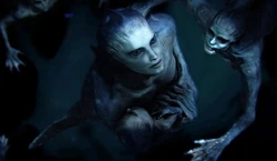 Các nghi lễ và lễ vật thường được thực hiện để xoa dịu Yacuruna, đảm bảo an toàn và đánh bắt được nhiều cá.