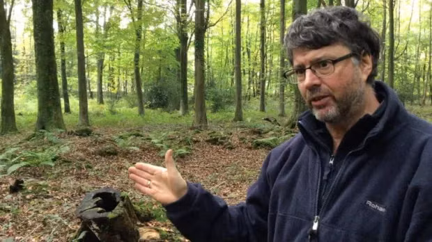 Ban đầu, Hoyle nghĩ đây có thể là ụ súng từ Thế Chiến II, nhưng khi kiểm tra, ông nhận ra công trình có niên đại từ khoảng năm 2.500 - 1.500 trước Công nguyên.