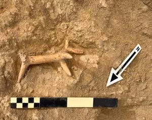 Những vật này cho thấy thành phố từng là trung tâm buôn bán lớn.