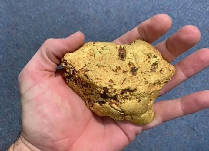 Anh ta đã sử dụng máy dò kim loại và sau đó đưa cục vàng tới cửa hàng Finders Keepers Gold Prospecting để xác nhận giá trị. Chủ cửa hàng mô tả cục vàng là "quái vật" và nói rằng nó có giá trị rất lớn, ước tính có giá 2,5 tỷ đồng..