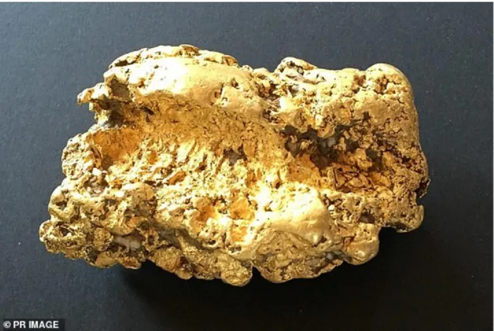 Sự việc gây chấn động khi nhiều nhà sưu tầm đề nghị mua với giá 160.000 AUD, nhưng ông quyết định giữ lại. Từ đó, ông dành thời gian rảnh để tìm kiếm kho báu khác.