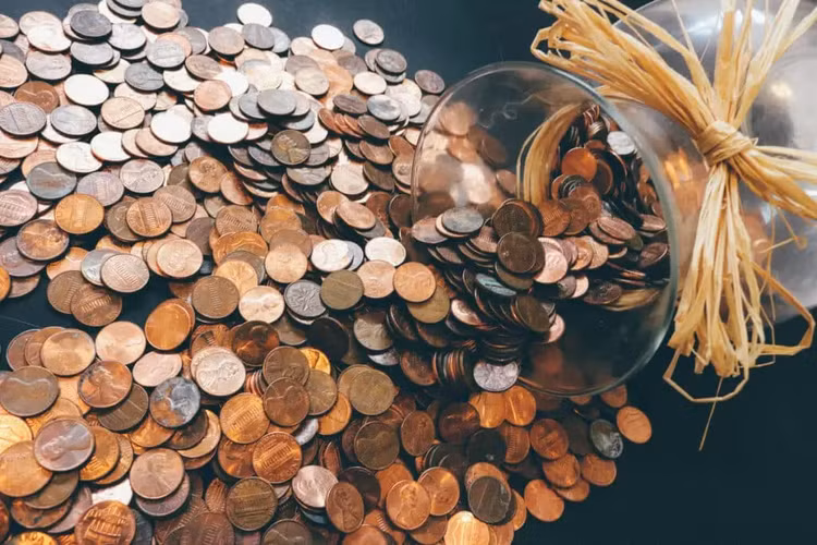 Cặp đôi quyết định bán toàn bộ số tiền xu trực tuyến với giá 25.000 USD, nhưng đến nay chỉ nhận được đề nghị mua từng phần.