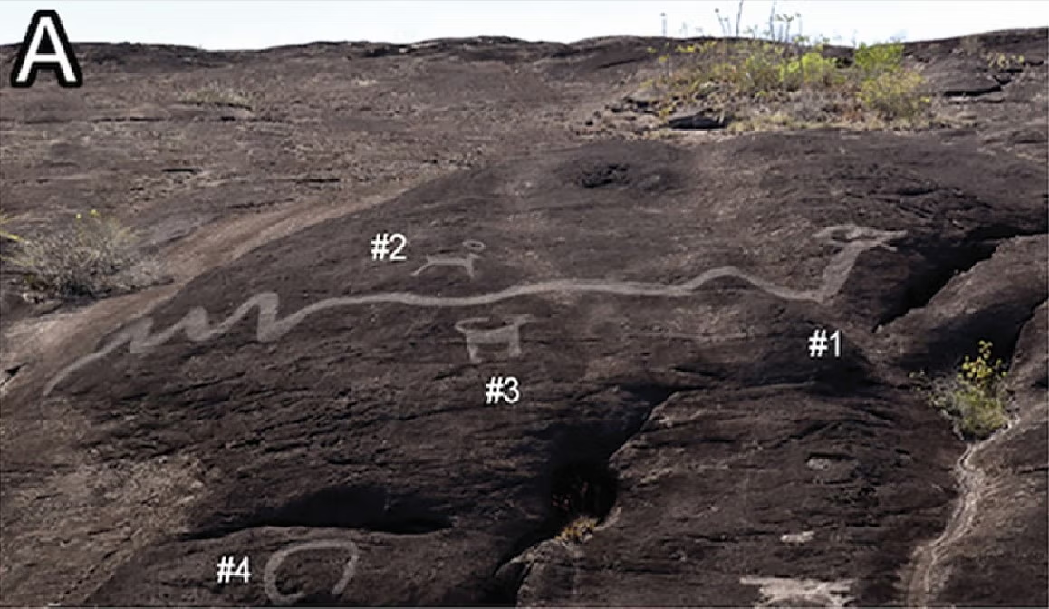 Tác phẩm này không chỉ đánh dấu lãnh thổ mà còn có thể là lời cảnh báo về sự hiện diện của loài rắn nguy hiểm.