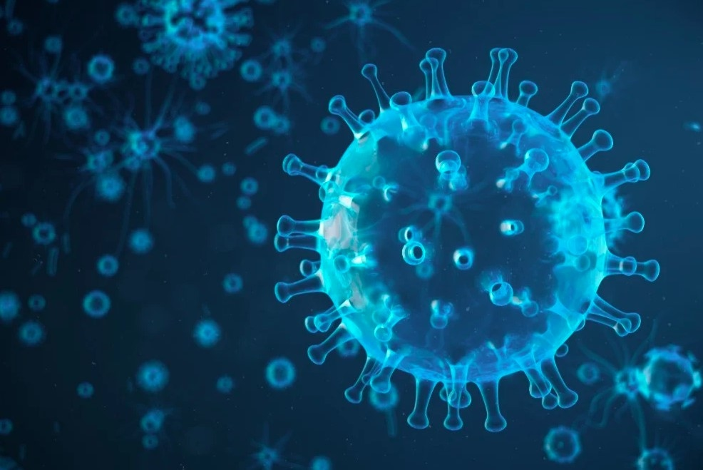 4. Virus cúm gà: Các chủng cúm gà như H5N1 có tỷ lệ tử vong ở người lên tới 70%. Tuy nhiên, nguy cơ nhiễm bệnh tương đối thấp vì virus chỉ lây lan qua tiếp xúc trực tiếp với gia cầm và chim hoang dã, chủ yếu xảy ra ở châu Á.