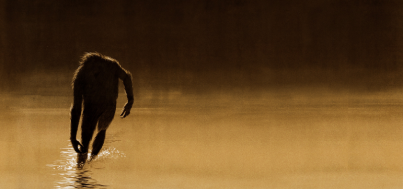 7. Moehau: Quái vật Moehau sống ở New Zealand, và được miêu tả là một con khỉ khổng lồ có tóc xõa dài.