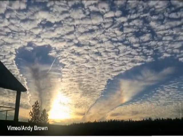 Andrew Heymsfield, chuyên gia thời tiết tại Trung tâm Nghiên cứu Khí quyển Quốc gia Mỹ (NCAR), cho biết: "Trong một số điều kiện nhất định, máy bay làm thay đổi những đám mây và tăng cường lượng giáng thủy (mưa, tuyết,…) ở gần đó, bằng cách gieo thêm các hạt nhân ngưng tụ hơi nước trên đường mà nó bay qua".