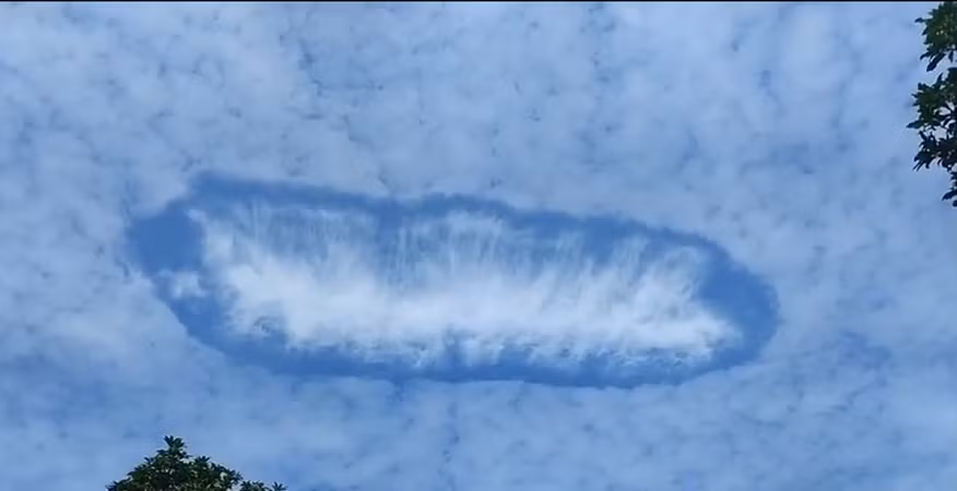 Đoạn phim ghi lại cảnh tượng này nhanh chóng lan truyền, thu hút sự chú ý của cả giới khoa học lẫn công chúng. Lỗ mây, hay còn gọi là cavum, xuất hiện như một khoảng trống hình elip giữa những đám mây trắng, tạo nên cảnh tượng huyền ảo giữa bầu trời xanh thẳm. (Ảnh cắt từ clip)
