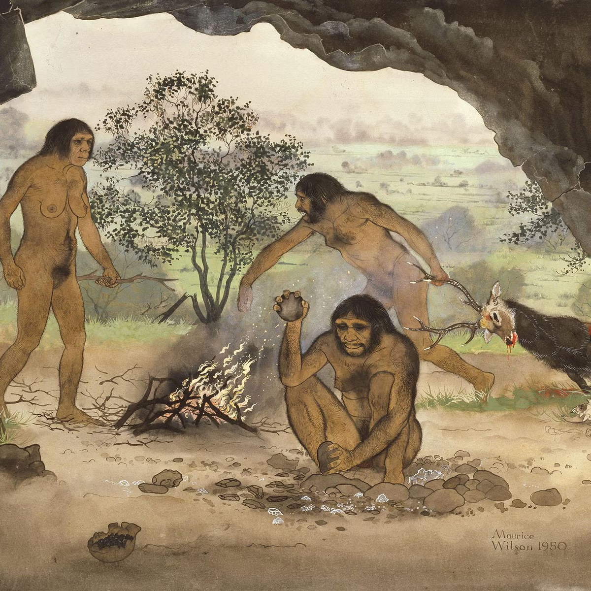 Homo erectus là giống người tồn tại lâu nhất trên Trái Đất hiện nay.