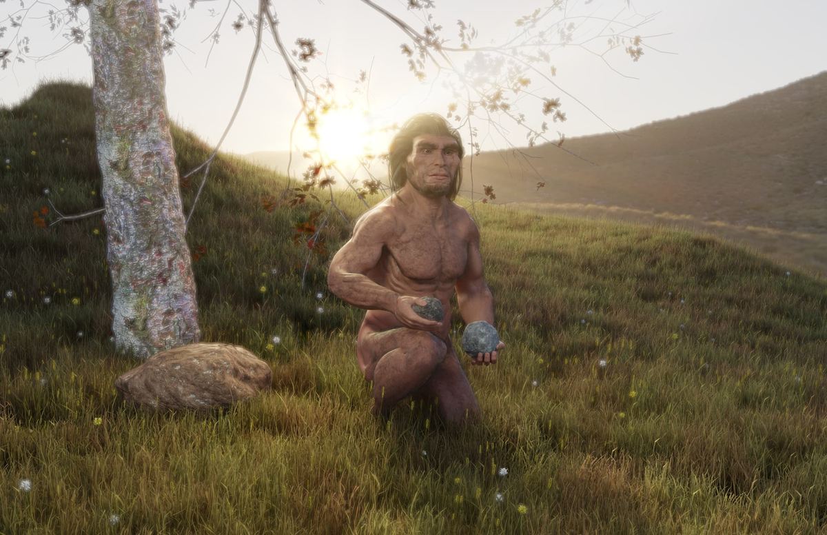 Homo erectus khá giống với loài người hiện đại, tuy nhiên phần tay và chân của họ ngắn hơn chúng ta.