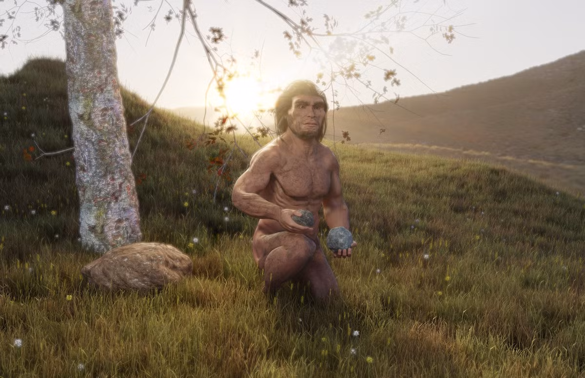 Homo erectus khá giống với loài người hiện đại, tuy nhiên phần tay và chân của họ ngắn hơn chúng ta.