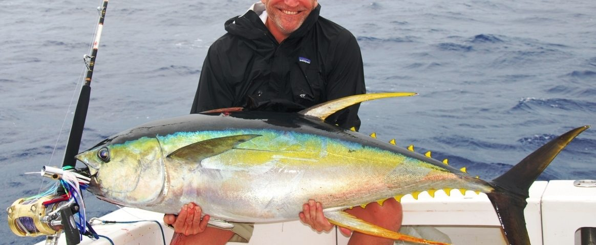 6. Cá ngừ vây vàng – Yellowfin Tuna: Cá ngừ vây vàng (Thunnus albacares) có thể nặng tới 400 pound. Chúng thường được câu bằng mồi sống và là mục tiêu của nhiều tay câu ở Thái Bình Dương và Đại Tây Dương.