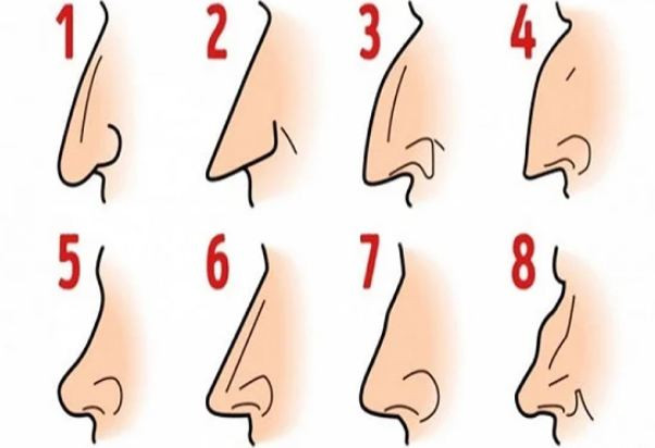 Dan ong so huu 4 tuong mui nay se vo cung thong minh