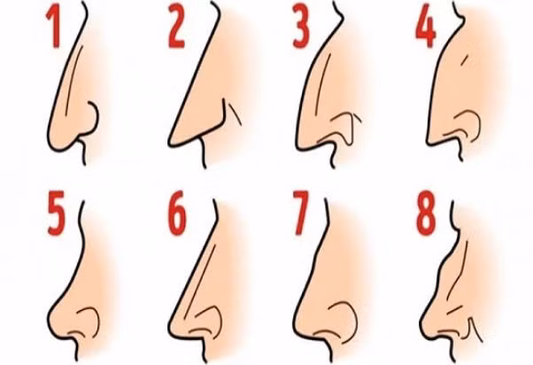 Dan ong so huu 4 tuong mui nay se vo cung thong minh