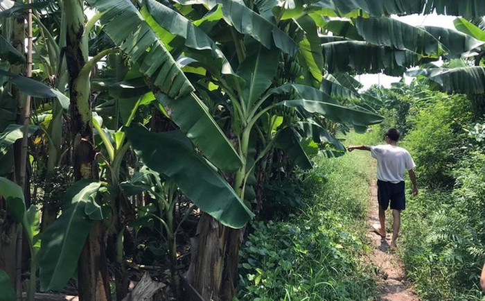  6. Bắt nghi phạm hiếp dâm bé gái trong vườn chuối: Vụ việc bé L.T.L (12 tuổi, trú tại xã Kim Sơn, Gia Lâm, Hà Nội) bị hiếp dâm tại xã Dương Quang, huyện Gia Lâm, Hà Nội khiến dư luận xôn xao. Ngày 4/9, Công an xã Dương Quang cho biết, hiện công an huyện Gia Lâm đã bắt giữ 1 nghi phạm liên quan đến vụ việc trên. Nghi phạm là người ở xã Kim Sơn và không có quan hệ gì với nạn nhân. 