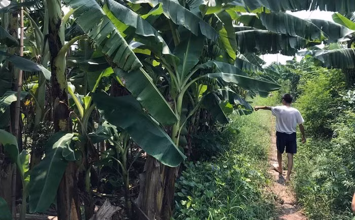  6. Bắt nghi phạm hiếp dâm bé gái trong vườn chuối: Vụ việc bé L.T.L (12 tuổi, trú tại xã Kim Sơn, Gia Lâm, Hà Nội) bị hiếp dâm tại xã Dương Quang, huyện Gia Lâm, Hà Nội khiến dư luận xôn xao. Ngày 4/9, Công an xã Dương Quang cho biết, hiện công an huyện Gia Lâm đã bắt giữ 1 nghi phạm liên quan đến vụ việc trên. Nghi phạm là người ở xã Kim Sơn và không có quan hệ gì với nạn nhân. 