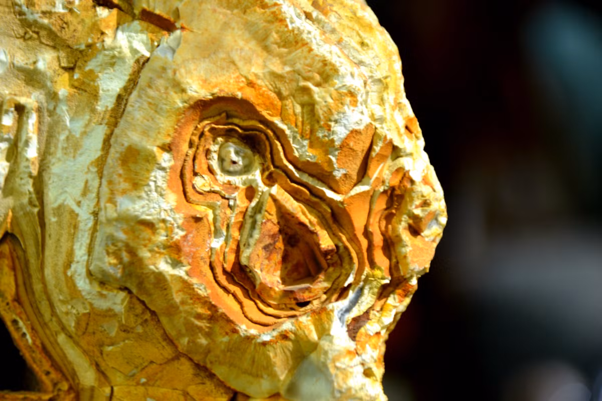 Có thể tưởng tượng một khuôn mặt nhăn nhúm vì sợ hãi...