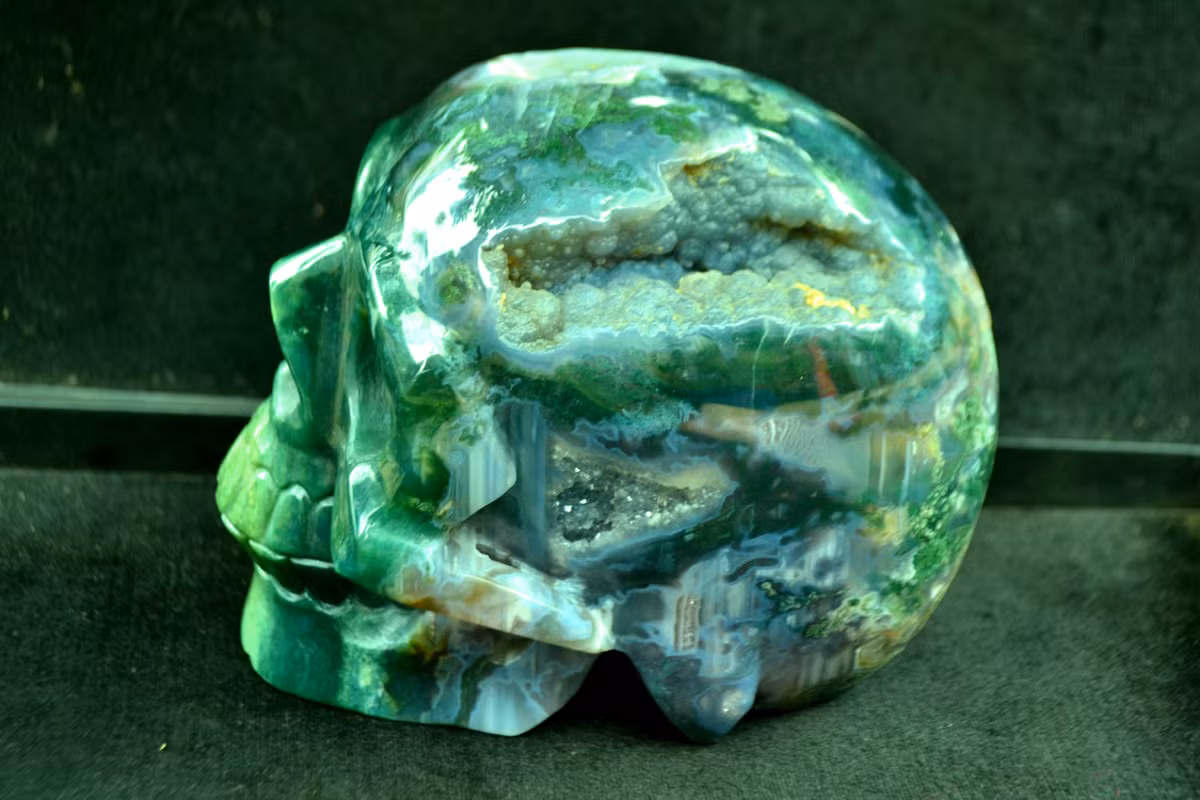 Mặt ngang của chiếc đầu có nhiều màu sắc khác nhau khiến nó trở nên không quá ghê rợn.