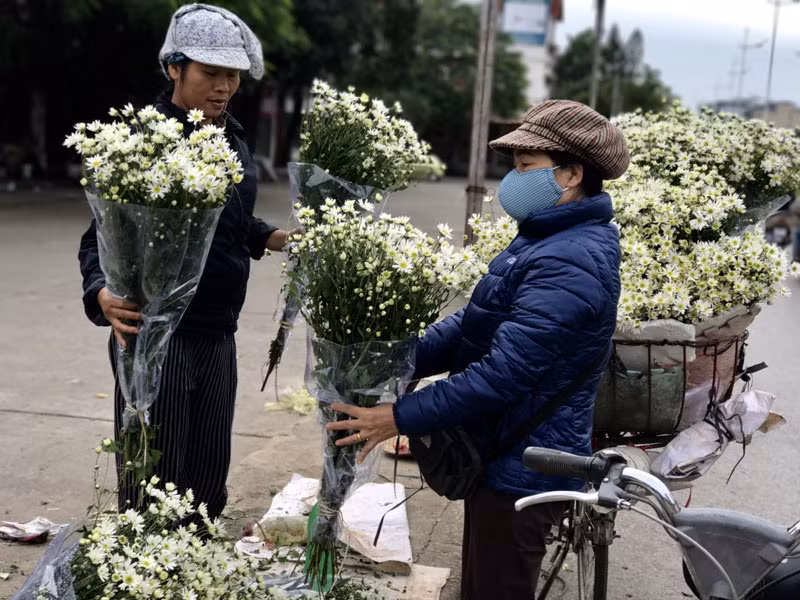 Chính vì thời gian chơi hoa ngắn ngủi nên vào mùa cúc họa mi, người Hà thành thường tranh thủ mua về cắm