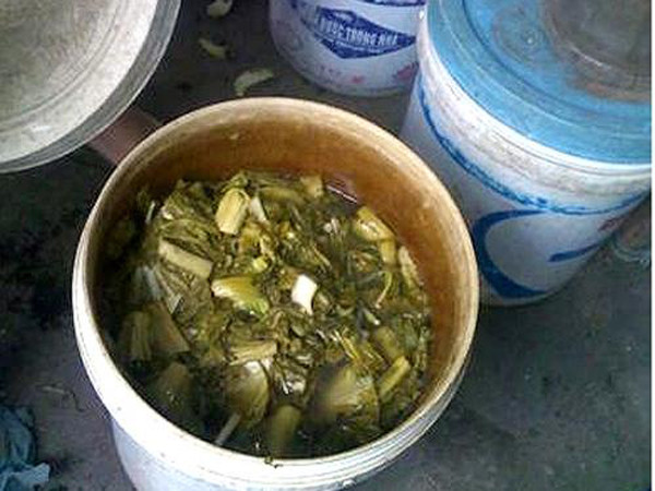 Ăn đồ muối chua nổi váng mốc: Khi thấy dưa hành muối, đồ muối chua nổi váng mốc, bạn nên bỏ chúng đi. Các váng mốc đó chính là các loại nấm có hại. Các vi nấm có thể sản sinh ra độc tố aflatoxin. Được biết, aflatoxin (AFT) là chất cực độc. Năm 1993, Viện Nghiên cứu Ung thư của WHO phân loại aflatoxin là chất gây ung thư tự nhiên, có độc tính cao, cực kỳ nguy hiểm.