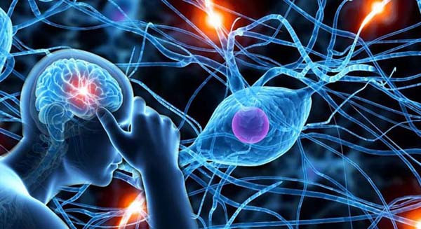 Rối loạn chức năng thần kinh. Khi bị rối loạn chức năng thần kinh do thoái hóa đốt sống thắt lưng và thoái hóa đốt sống cổ, cơ chế điều hòa thân nhiệt cơ thể cũng rối loạn. Chuyên gia sức khỏe bổ sung, bệnh thiếu máu, hội chứng Raynaud thường gặp ở phụ nữ cũng có thể khiến chân tay lạnh. Để cải thiện tình trạng, bạn có thể áp dụng những cách làm ấm cơ thể từ trong ra ngoài dưới đây.