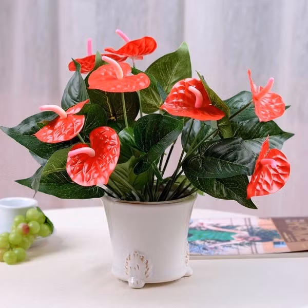 Hồng môn. Hồng môn rất phổ biến ở các cửa hàng hoa Tết. Loại hoa này có màu đỏ đậm kết hợp vàng óng ở giữa, mang tới nhiều điều may mắn cho người trồng.