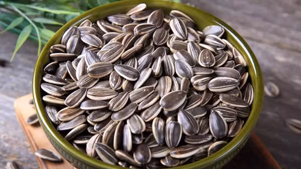  Hạt hướng dương có vị bùi béo rất hấp dẫn. Không những vậy, loại hạt này còn có lợi cho sức khỏe nhờ chứa lượng magie, canxi dồi dào, góp phần xây dựng cấu trúc xương chắc khỏe. (Ảnh minh họa)
