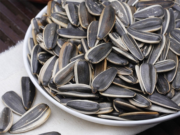 Hướng dương còn chứa vitamin E, beta carotene rất có lợi trong việc ngăn ngừa lão hóa da. Ăn hướng dương có thể làm dịu những triệu chứng của viêm khớp, hen suyễn và viêm khớp dạng thấp. Đặc biệt, các axit béo trong hạt tạo ra collagen và elastin, có tác dụng kháng khuẩn, giúp da luôn mịn màng và tươi sáng.