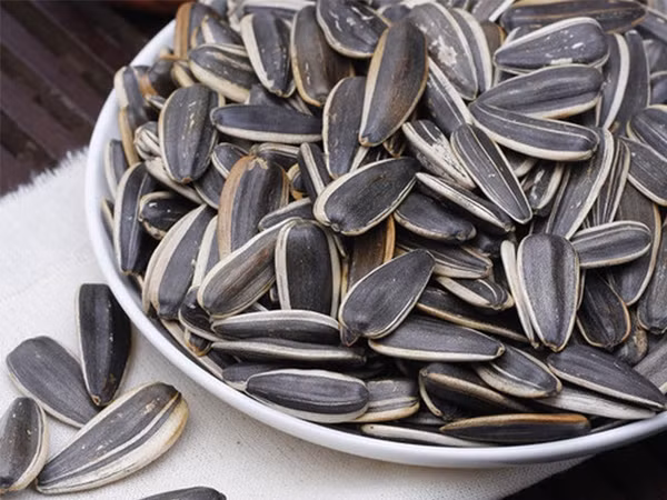 Hướng dương còn chứa vitamin E, beta carotene rất có lợi trong việc ngăn ngừa lão hóa da. Ăn hướng dương có thể làm dịu những triệu chứng của viêm khớp, hen suyễn và viêm khớp dạng thấp. Đặc biệt, các axit béo trong hạt tạo ra collagen và elastin, có tác dụng kháng khuẩn, giúp da luôn mịn màng và tươi sáng.