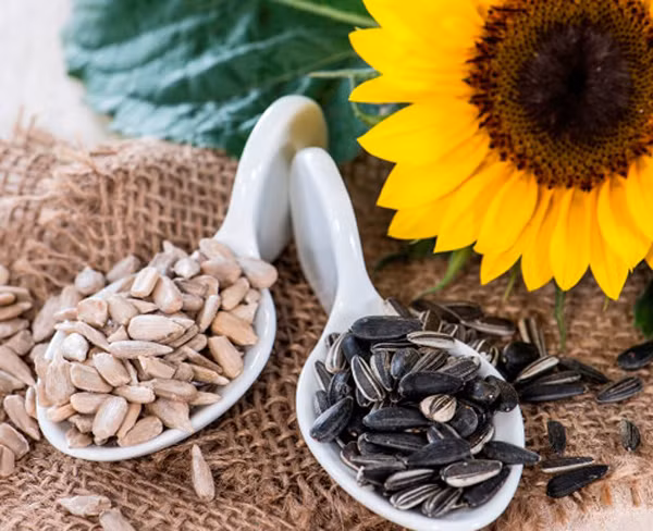 Năm 1993, Viện Nghiên cứu Ung thư của Tổ chức Y tế Thế giới (WHO) phân loại aflatoxin là chất gây ung thư tự nhiên, có độc tính cao, cực kỳ nguy hiểm. Chỉ cần tiêu thụ 1mg aflatoxin có thể làm tăng nguy cơ ung thư, trường hợp tiêu thụ hơn 20mg có thể dẫn tới tử vong.