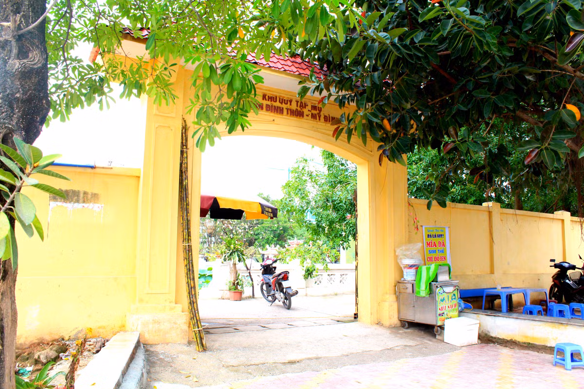 Ta hoa chung cu The Emerald My Dinh view bai tha ma truc dien-Hinh-3