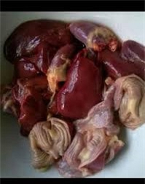 4 bo phan cua vit them den may cung khong nen an-Hinh-2